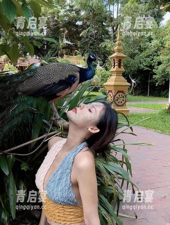微密圈 - 嘘，图集里藏着就是阿朱啊和她的兔子，快来分享这份“薄情”！